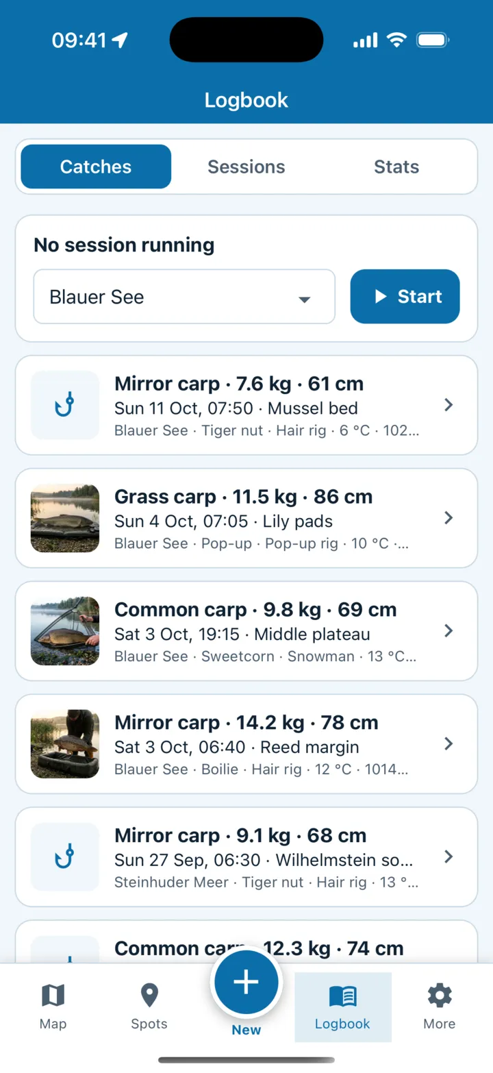 Logbook with catches from the Blauer See: mirror carp 7.6 kg, grass carp 11.5 kg, common carp 9.8 kg and mirror carp 14.2 kg, each with photo, spot, bait and rig